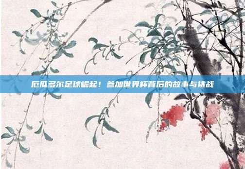 厄瓜多尔足球崛起！参加世界杯背后的故事与挑战
