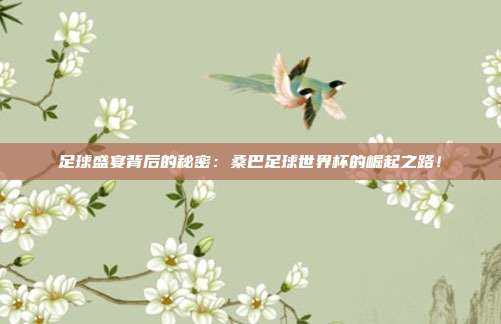 足球盛宴背后的秘密：桑巴足球世界杯的崛起之路！