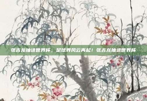 张吉龙抽进世界杯，足球界风云再起！张吉龙抽进世界杯