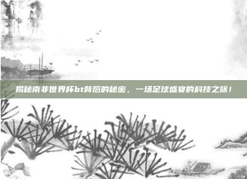 揭秘南非世界杯bt背后的秘密，一场足球盛宴的科技之旅！