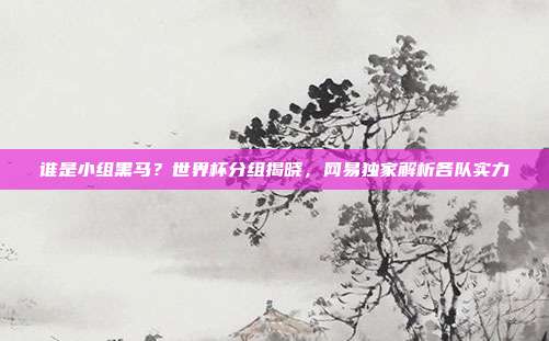 谁是小组黑马？世界杯分组揭晓，网易独家解析各队实力