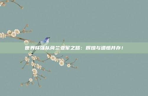 世界杯强队荷兰亚军之路：辉煌与遗憾并存！