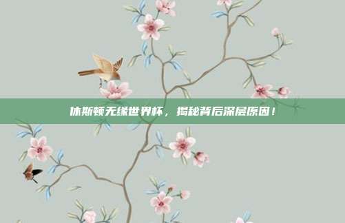 休斯顿无缘世界杯，揭秘背后深层原因！