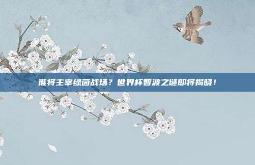 谁将主宰绿茵战场？世界杯智波之谜即将揭晓！
