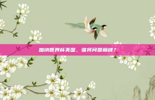 加纳世界杯美国，谁将问鼎巅峰？