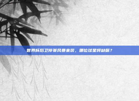 世界杯后卫停赛风暴来袭，哪位球星将缺席？