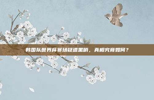韩国队世界杯赛场疑遭黑哨，真相究竟如何？