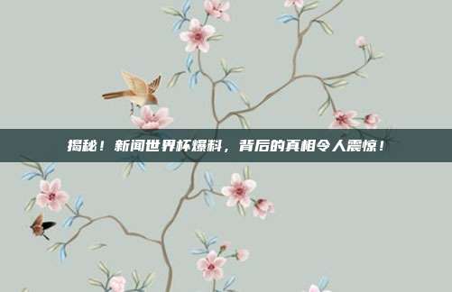 揭秘！新闻世界杯爆料，背后的真相令人震惊！
