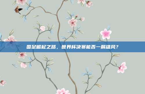 国足崛起之路，世界杯决赛能否一展雄风？