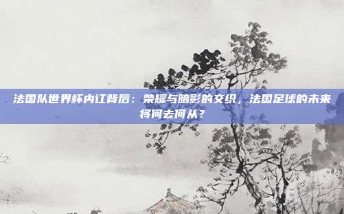 法国队世界杯内讧背后：荣耀与暗影的交织，法国足球的未来将何去何从？