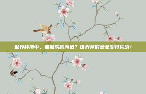 世界杯前中，谁能脱颖而出？世界杯的悬念即将揭晓！