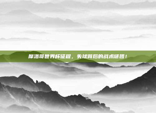 摩洛哥世界杯征程，失球背后的战术谜团！