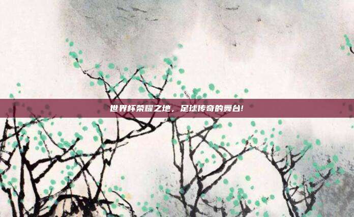 世界杯荣耀之地，足球传奇的舞台!