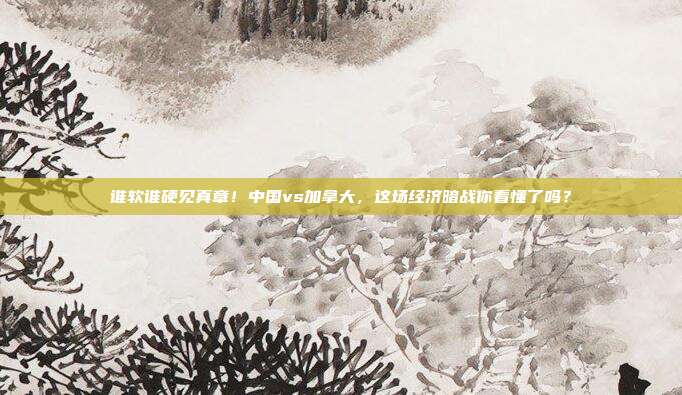 谁软谁硬见真章！中国vs加拿大，这场经济暗战你看懂了吗？