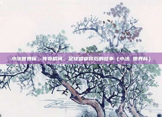 小法世界杯：传奇瞬间，足球盛宴背后的故事（小法 世界杯）