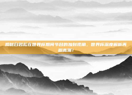 揭秘白岩松在世界杯期间节目的独到视角，世界杯深度解析再掀高潮！