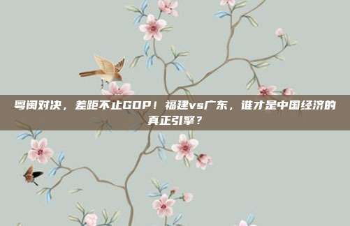 粤闽对决，差距不止GDP！福建vs广东，谁才是中国经济的真正引擎？