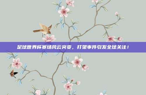 足球世界杯赛场风云突变，打架事件引发全球关注！
