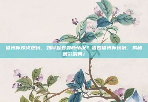 世界杯烽火燃情，如何查看最新情况？查看世界杯情况，揭秘精彩瞬间！