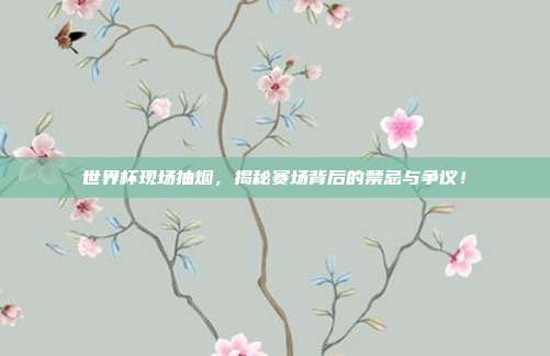 世界杯现场抽烟,揭秘赛场背后的禁忌与争议!