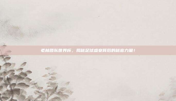 老林团队世界杯，揭秘足球盛宴背后的秘密力量！