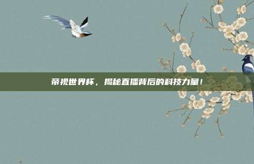 帝视世界杯，揭秘直播背后的科技力量！