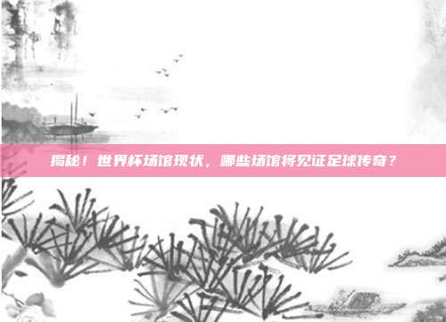 揭秘！世界杯场馆现状，哪些场馆将见证足球传奇？