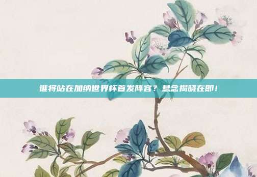 谁将站在加纳世界杯首发阵容？悬念揭晓在即！