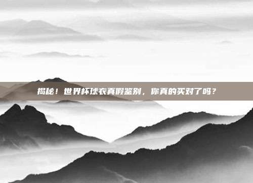 揭秘！世界杯球衣真假鉴别，你真的买对了吗？