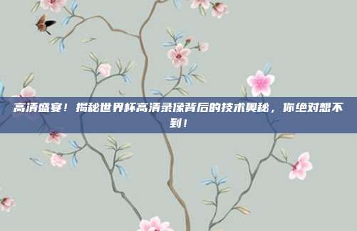 高清盛宴！揭秘世界杯高清录像背后的技术奥秘，你绝对想不到！