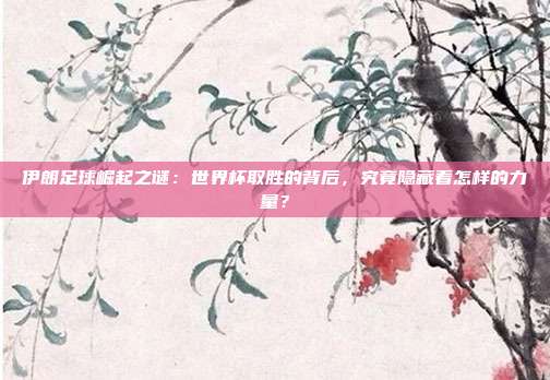 伊朗足球崛起之谜：世界杯取胜的背后，究竟隐藏着怎样的力量？