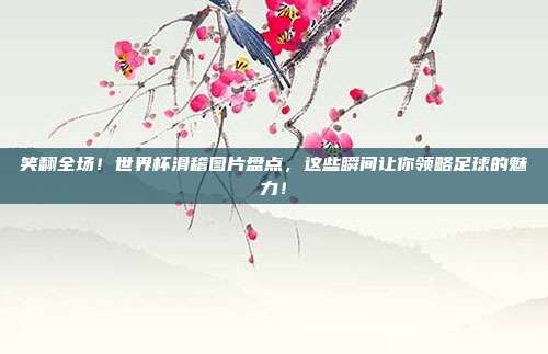 笑翻全场！世界杯滑稽图片盘点，这些瞬间让你领略足球的魅力！