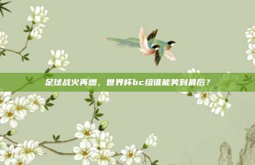 足球战火再燃，世界杯bc组谁能笑到最后？