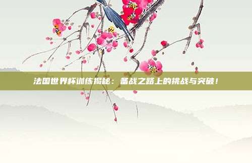 法国世界杯训练揭秘：备战之路上的挑战与突破！