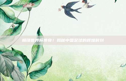 杨璞世界杯传奇！揭秘中国足球的辉煌时刻