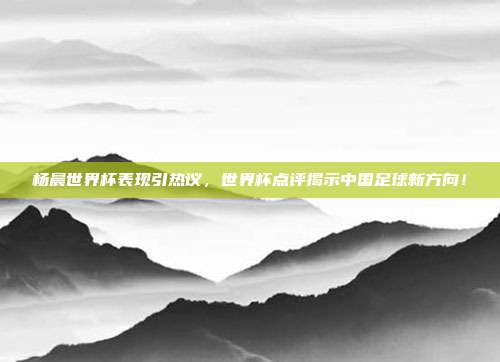 杨晨世界杯表现引热议,世界杯点评揭示中国足球新方向!