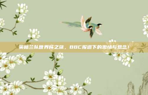 英格兰队世界杯之旅，BBC报道下的激情与悬念！