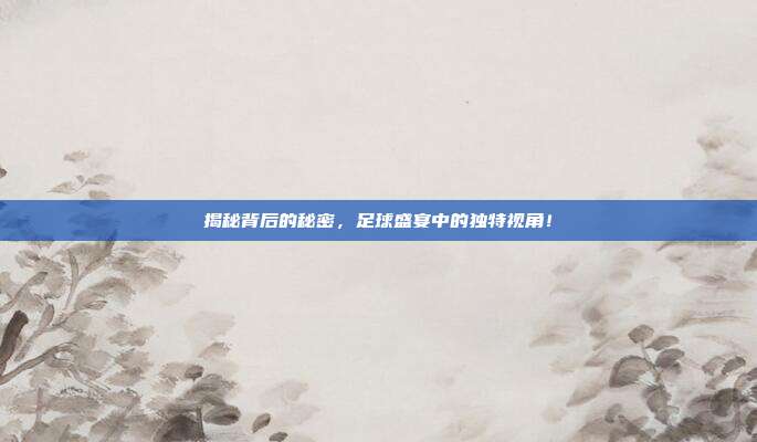 揭秘背后的秘密，足球盛宴中的独特视角！