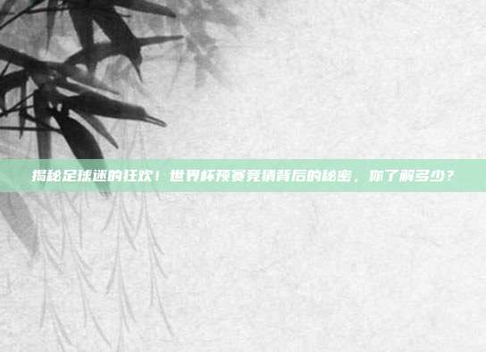 揭秘足球迷的狂欢！世界杯预赛竞猜背后的秘密，你了解多少？