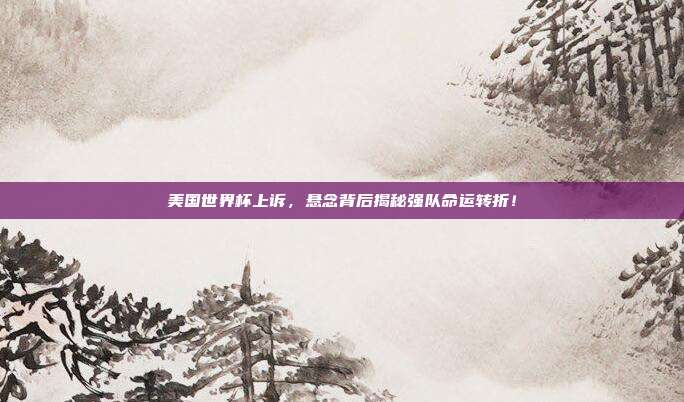 美国世界杯上诉,悬念背后揭秘强队命运转折!