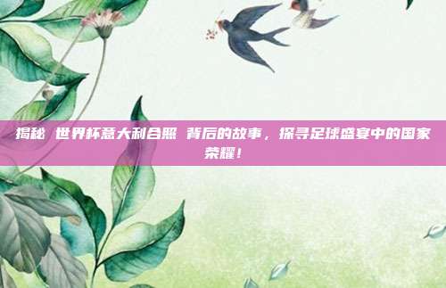 揭秘 世界杯意大利合照 背后的故事,探寻足球盛宴中的国家荣耀!
