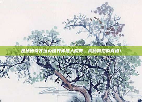 足球传奇齐达内世界杯撞人瞬间，揭秘背后的真相！