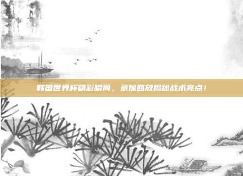 韩国世界杯精彩瞬间，录像回放揭秘战术亮点！