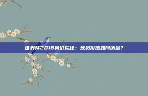 世界杯2016身价揭秘:球员价值如何衡量?