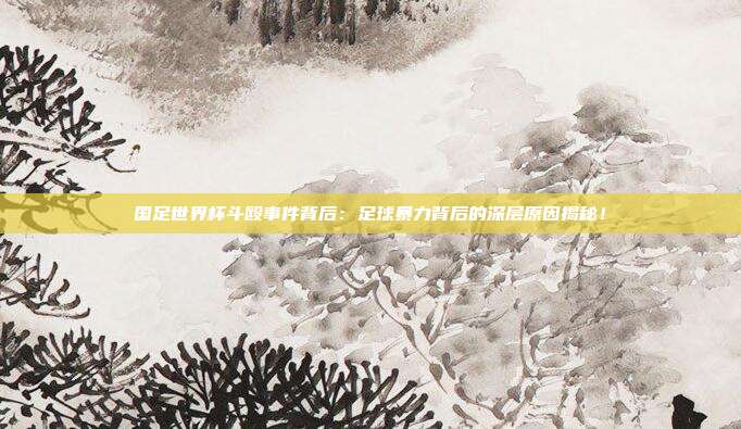 国足世界杯斗殴事件背后：足球暴力背后的深层原因揭秘！