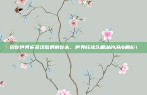 揭秘世界杯赛场背后的秘密：世界杯球队解说的深度解析！
