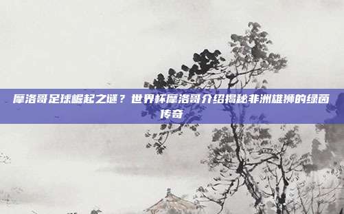 摩洛哥足球崛起之谜？世界杯摩洛哥介绍揭秘非洲雄狮的绿茵传奇