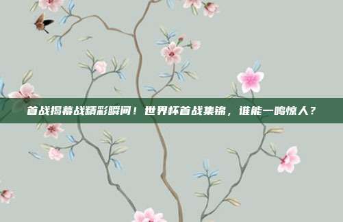 首战揭幕战精彩瞬间！世界杯首战集锦，谁能一鸣惊人？