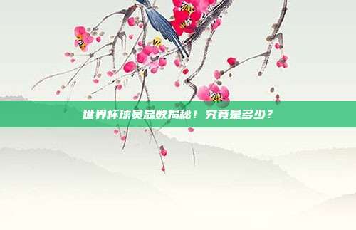 世界杯球员总数揭秘!究竟是多少?