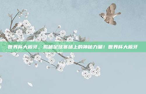 世界杯大板牙，揭秘足球赛场上的神秘力量！世界杯大板牙